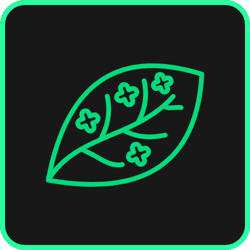 Line drawing of a leaf with small flowers or buds inside, on a black background with a green border.